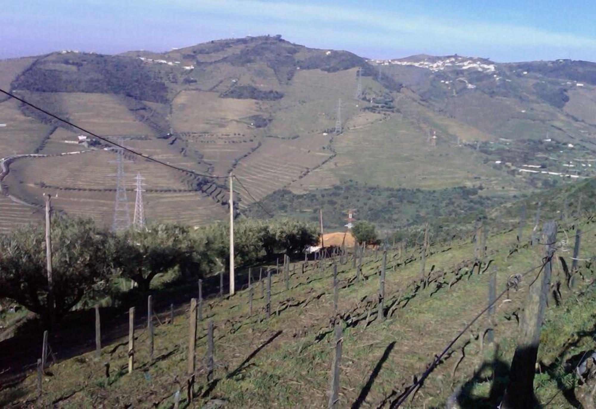 Quinta De Casaldronho Wine Hotel Lamego Exterior photo